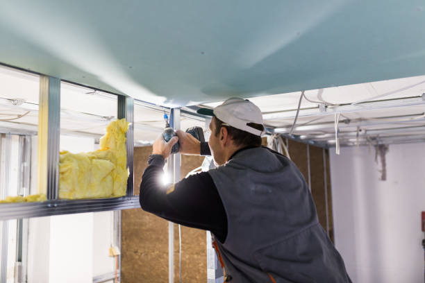 Best Insulation Replacement Services  in Tukwila, WA