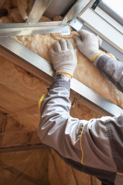 Best Local Insulation Services  in Tukwila, WA
