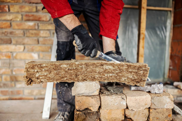 Best Cellulose Insulation  in Tukwila, WA