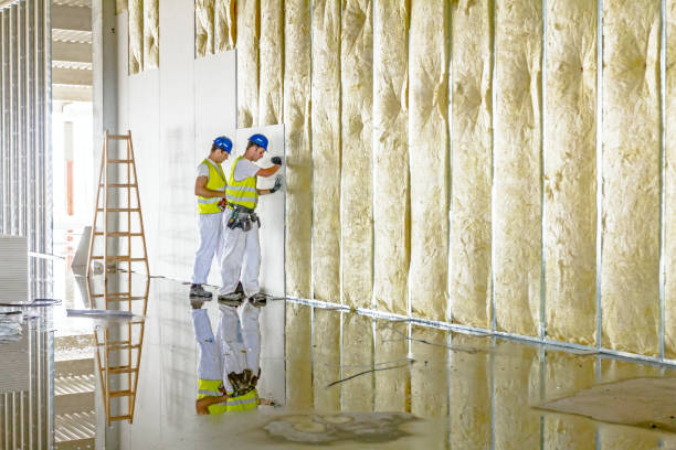 Best Home Insulation Services  in Tukwila, WA